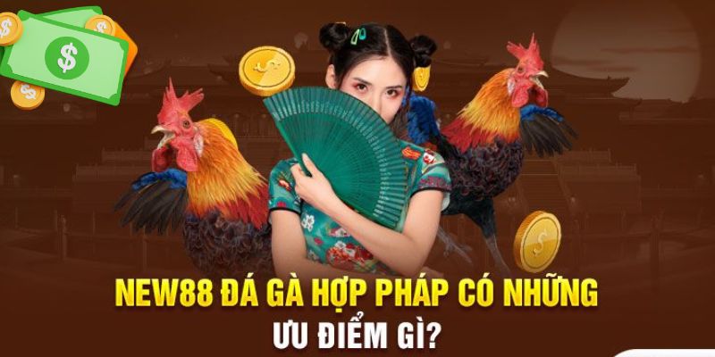 Đá gà New88 được cấp giấy phép hoạt động hợp pháp bởi PAGCOR